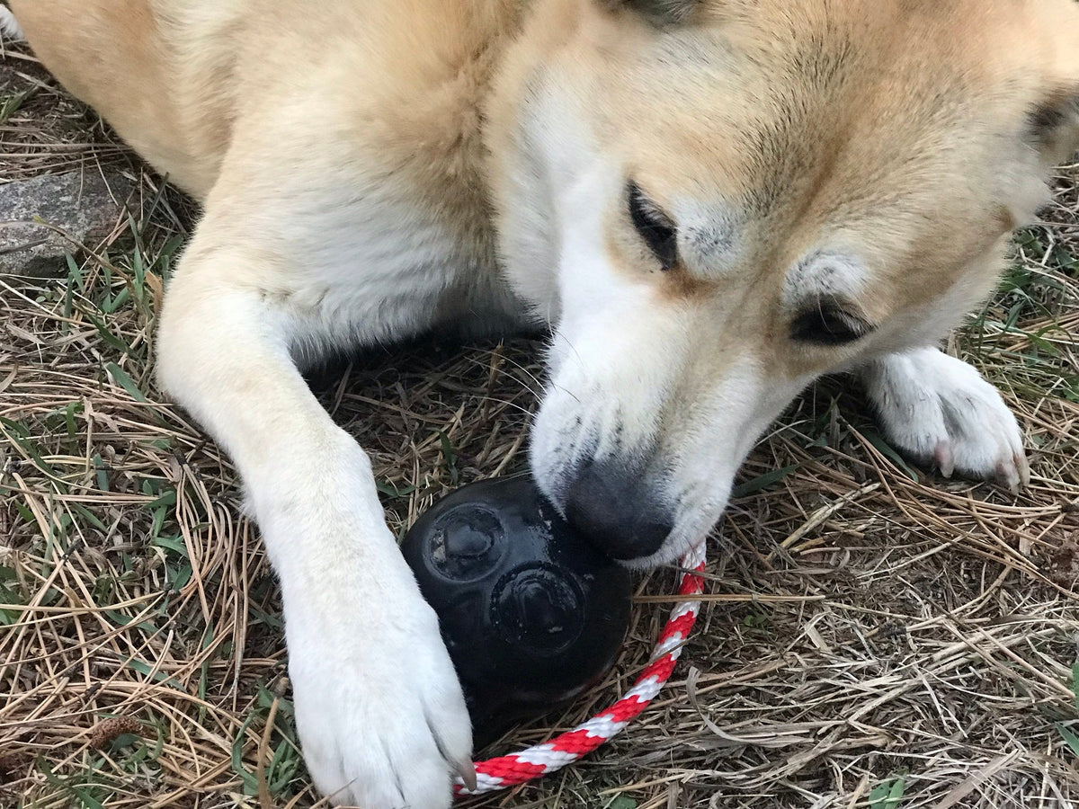 Power Chewer Skull Dog Toy – Treat Dispenser & Tug Toy