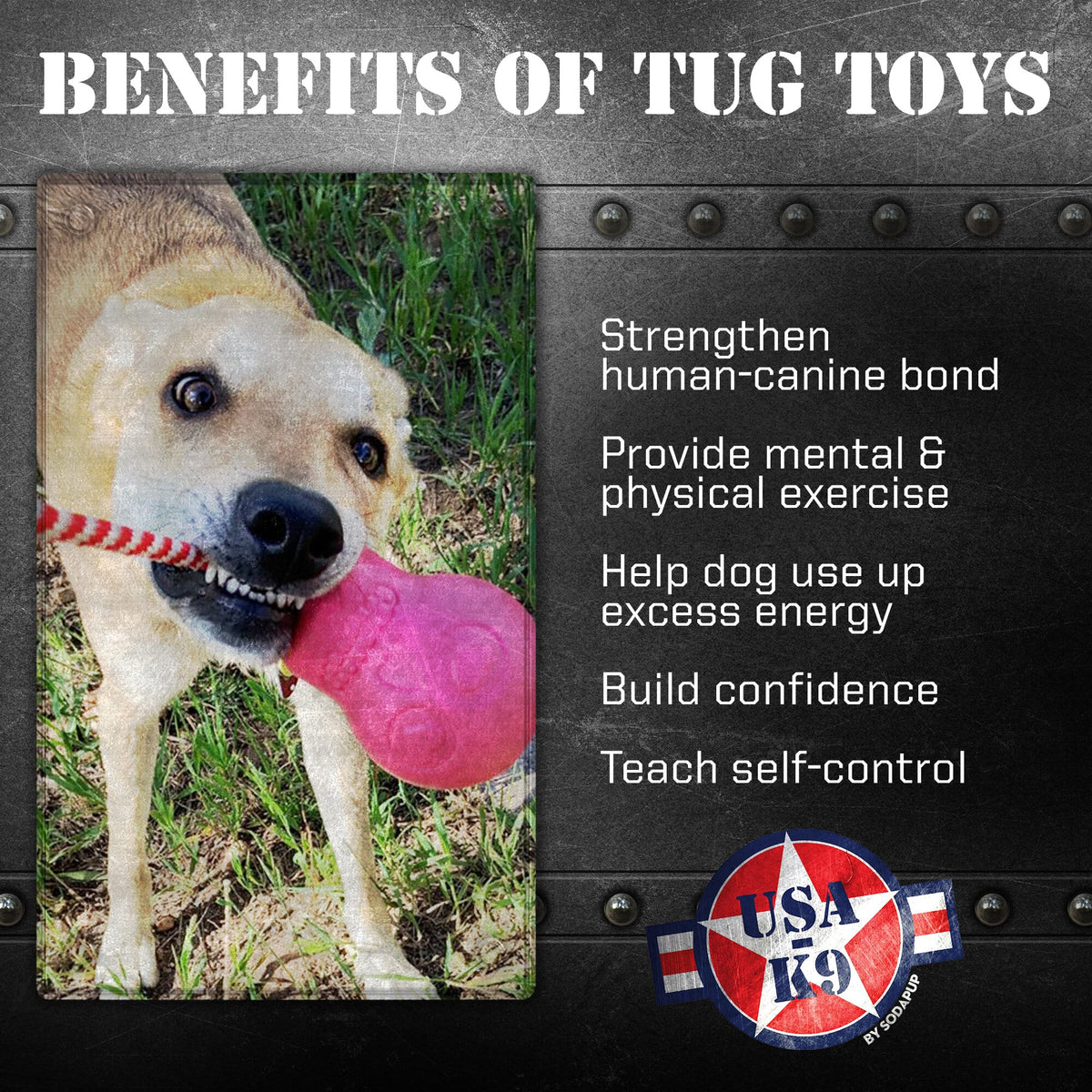 Power Chewer Skull Dog Toy – Treat Dispenser & Tug Toy