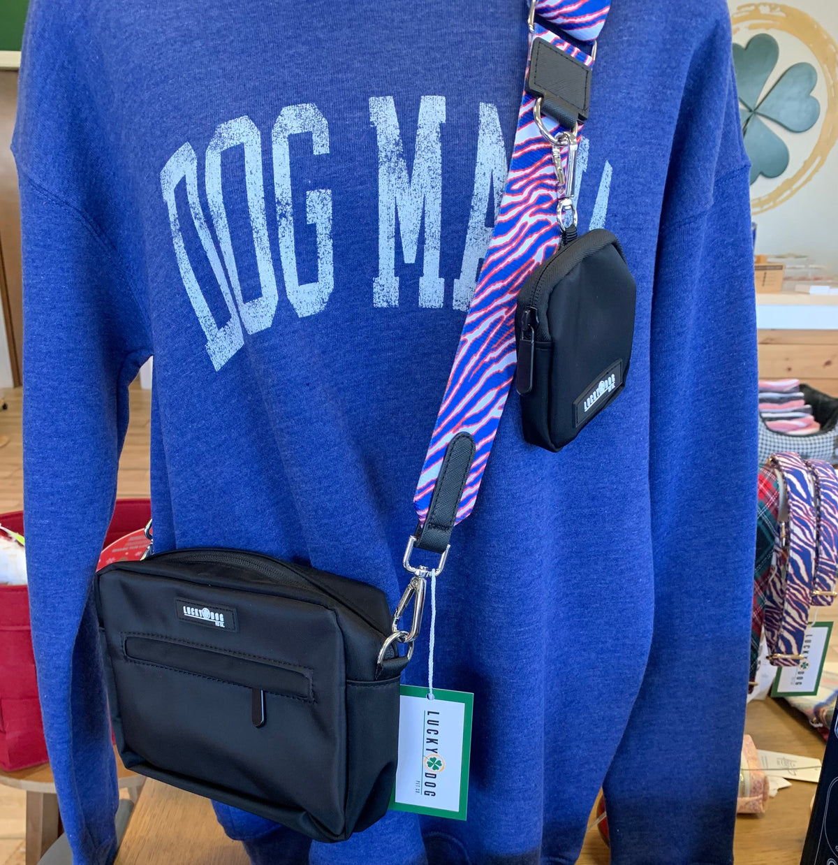 Grab & Go Dog Walking Bag Set 🐾
